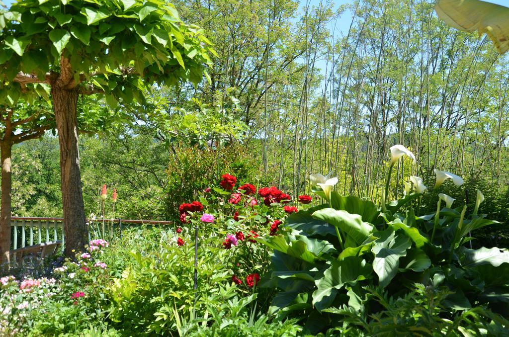 La Gueriniere Bed and Breakfast Cénac-et-Saint-Julien Exterior foto