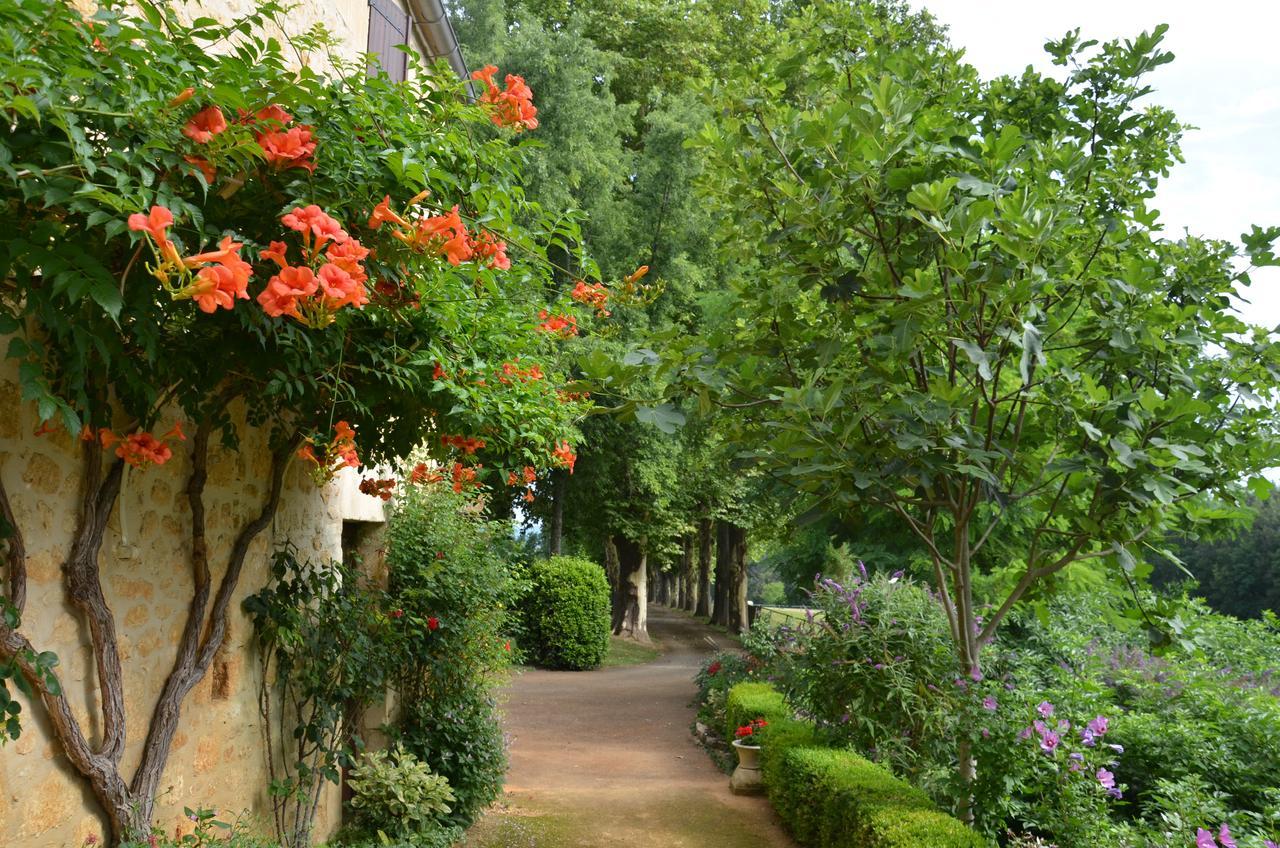La Gueriniere Bed and Breakfast Cénac-et-Saint-Julien Exterior foto